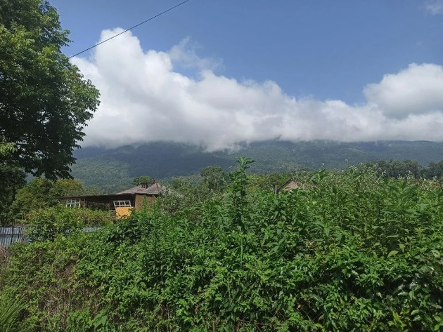 Вид от гостевого дома