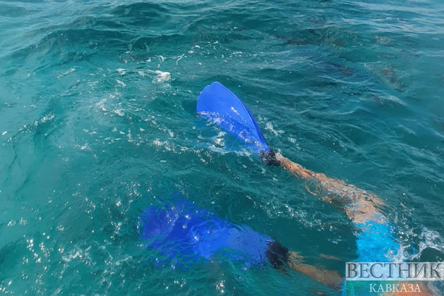 Сноркелинг