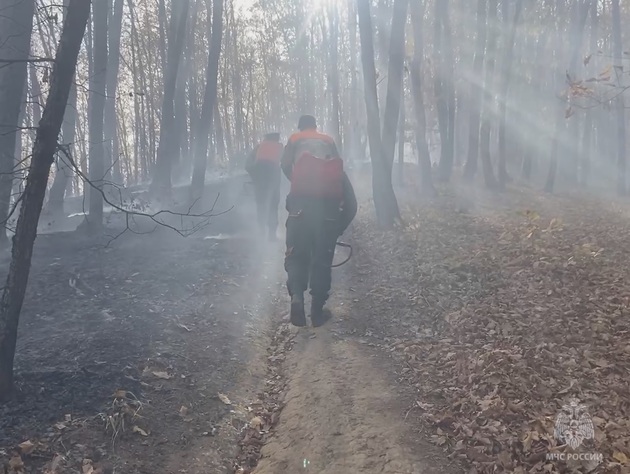 Кубанским спасателям удалось локализовать лесной пожар