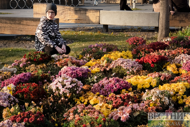 Мальчик на фоне хризантем в Парке Зарядье в Москве