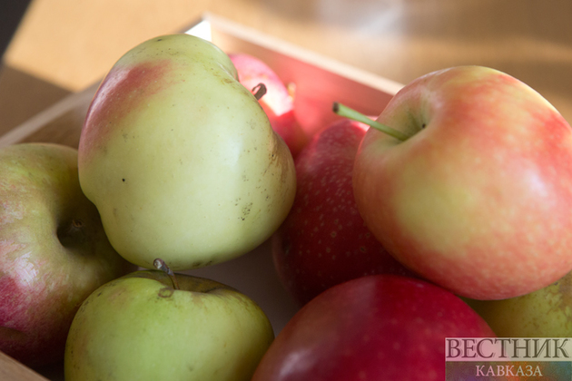 Алматинские яблоки могут стать мировым брендом
