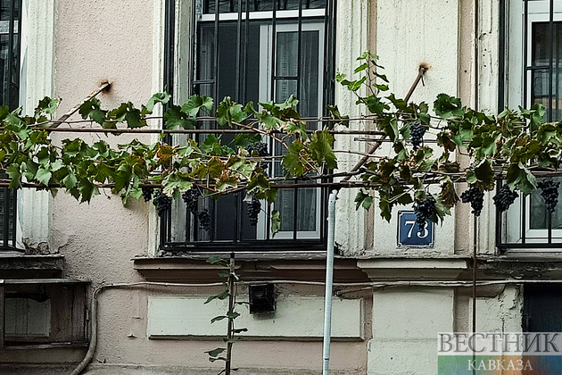 Виногад на доме в Грузии