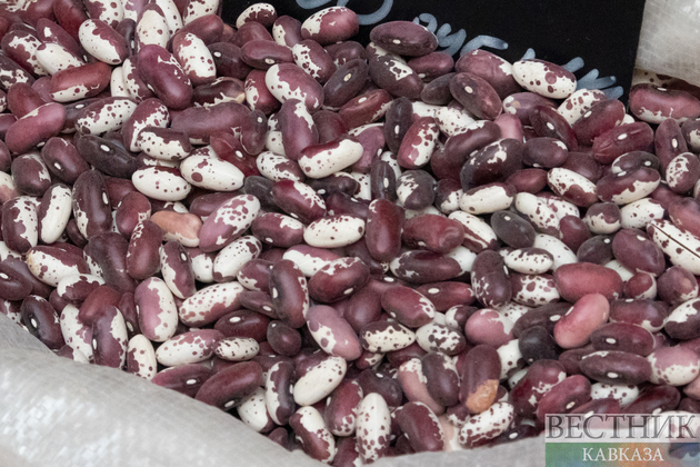 Черная фасоль