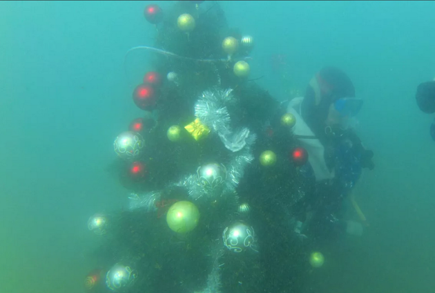 Крымские дайверы снова поставили елку на дне Черного моря 