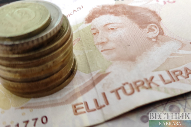 Турецкая лира теряет позиции