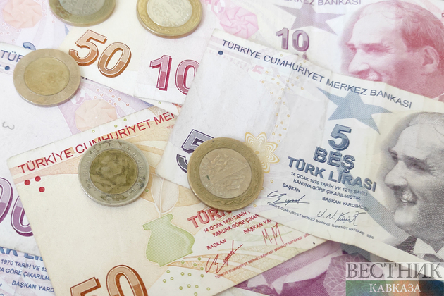 Турецкая валюта обновила исторический минимум - СМИ