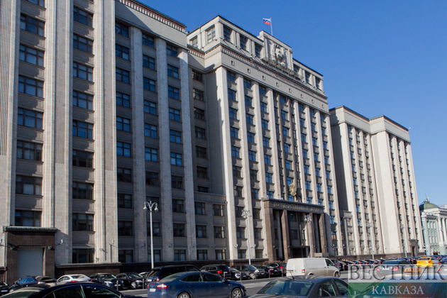 "Правительственный час" по теракту в "Домодедово" пройдет в Госдуме за закрытыми дверями