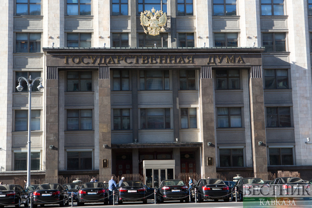 Госдума одобрила новый порядок формирования Общественной палаты России