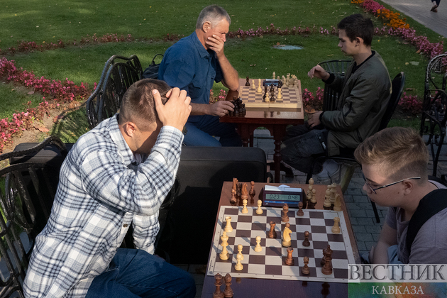 Игра в шахматы