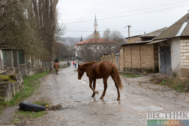Фермеры Крыма требуют отмены карантина по АЧС