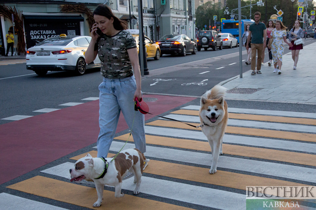 Мирзиеев: Ташкент станет городом пешеходов