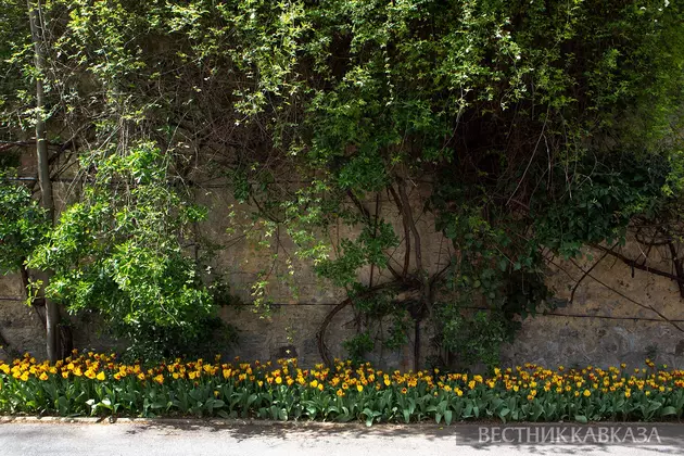 Парк Йылдыз в Стамбуле