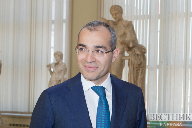 Министр образования Азербайджана обзавелся третьим замом 