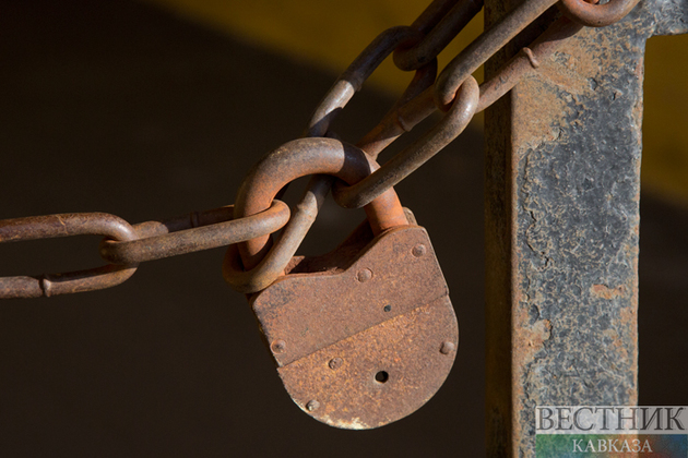 Инвалида приковали к дереву в Кисловодске – открыто уголовное дело