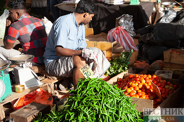 Агростартапы финансово поддержат в Адыгее