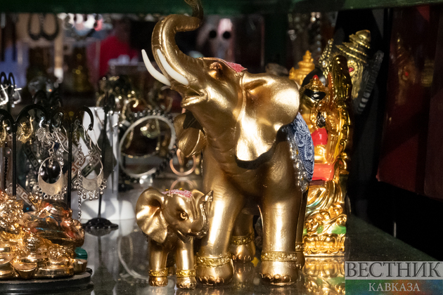 Индийский слон