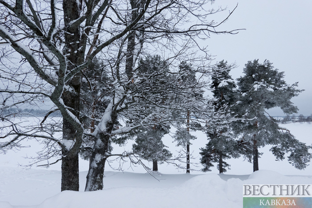Пять месяцев выживал в тундре - пропавший пенсионер найден живым