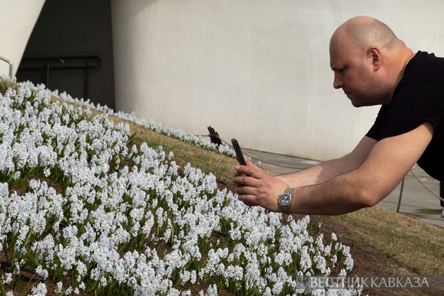 Мужчина фотографирует в парке Зарядье поляну с пушкинией