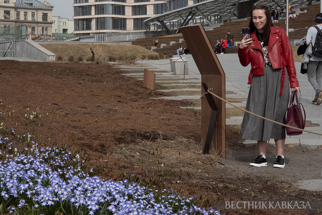 Девушка фотографирует хионодоксы