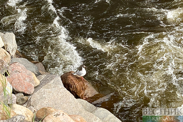 На Петропавловск идет большая вода