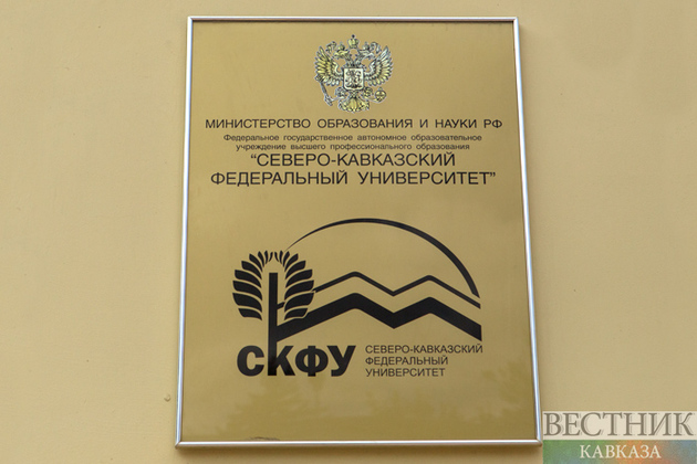 Ученые СКФУ разработали мощные средства против рака