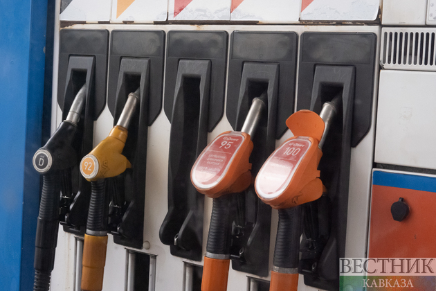 Правительство приняло меры для сдерживания роста цен на топливо 