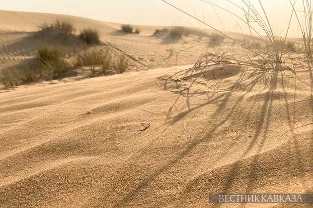 Песчаная буря из Сахары накроет завтра Кубань