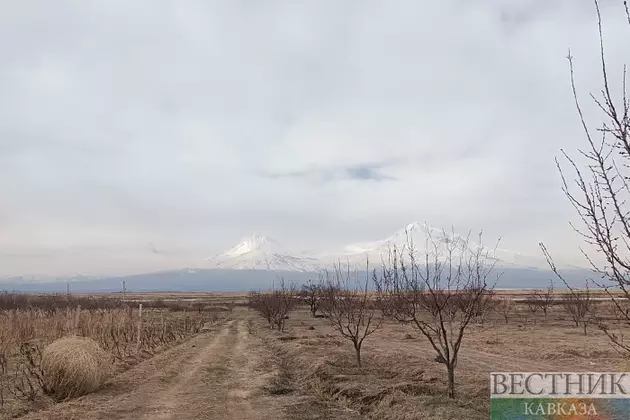 Геноцид армян. Есть ли предел у дискуссий?
