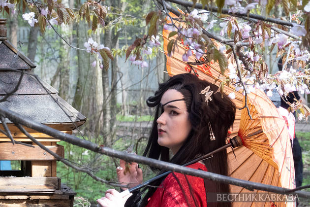 Сакура в Москве 2024