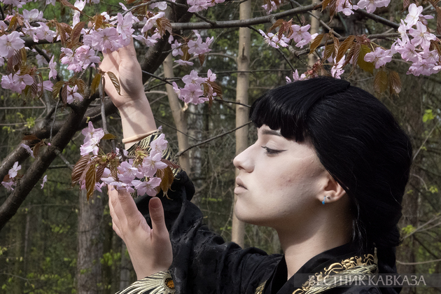 Сакура в Москве 2024