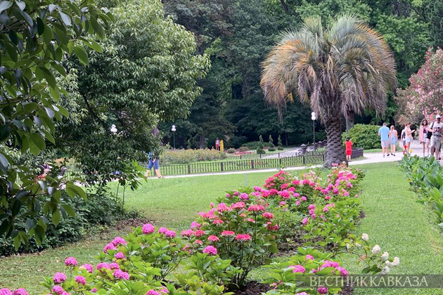 Нацпарк Сочи с начала года посетили почти 300 тыс туристов