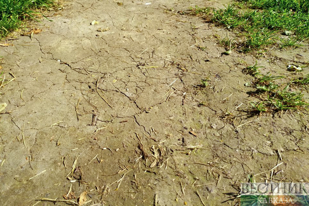 Иран потрясло землетрясение 