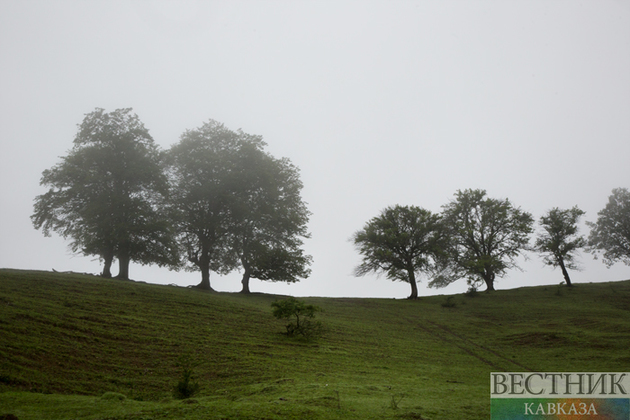 Северную Осетию озеленили перед Днем Победы