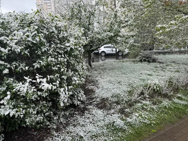 Москву накрыл майский снегопад