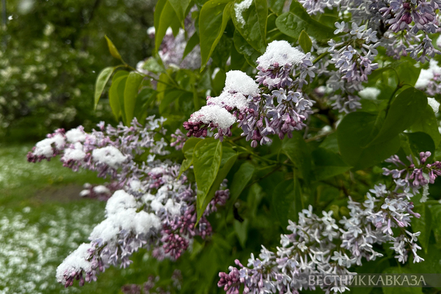 Снегопад в Москве в мае