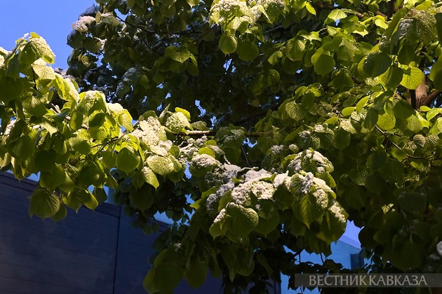 Снегопад в Москве в мае