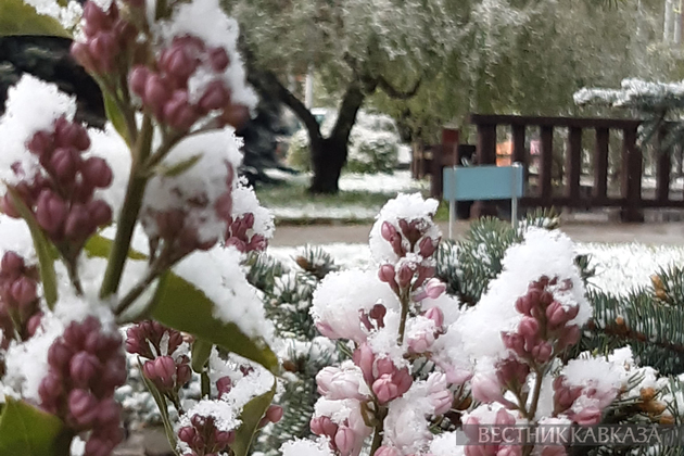 Снегопад в Москве в мае