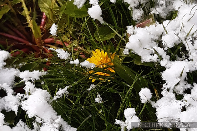 Снегопад в Москве в мае