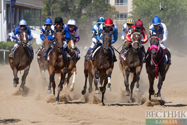 Лучших скакунов выявили в Дагестане 