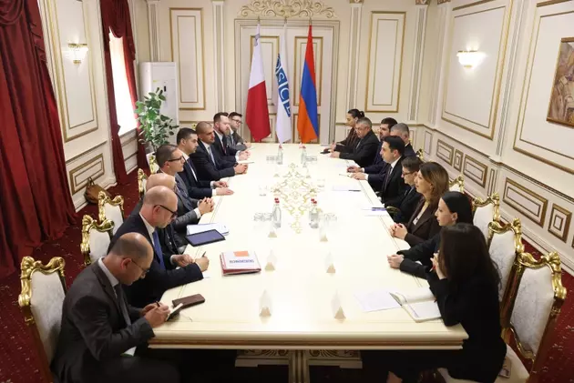 встреча председателя ОБСЕ Яна Борга и главы парламента Армении Алена Симоняна
