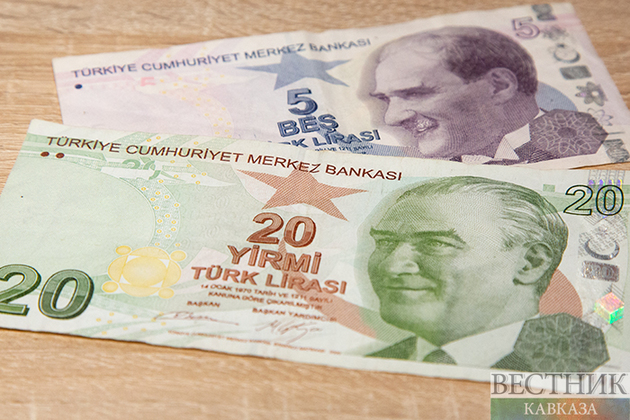 Турция будет торговать с соседями посредством национальных валют