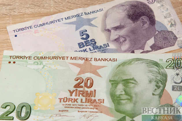 Центральный банк Турции ждет инфляции