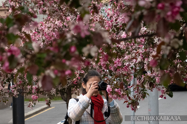 Цветение в Москве