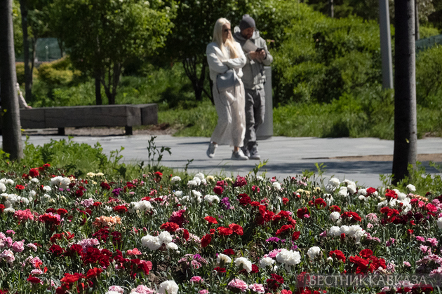 Цветение в Москве