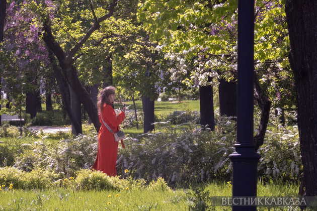 Цветение в Москве