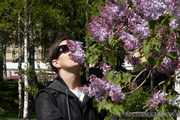 Цветение в Москве