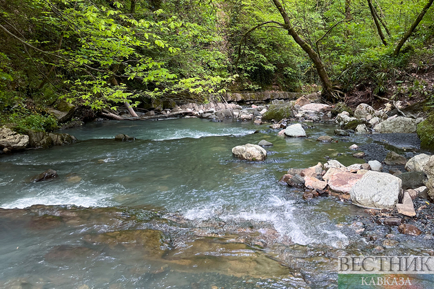 В Сочи спасли чуть не утонувших в ущелье туристов