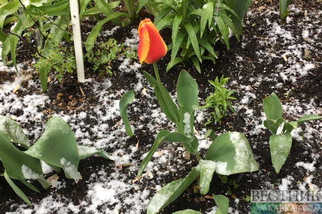 На Дон и Крым придут заморозки