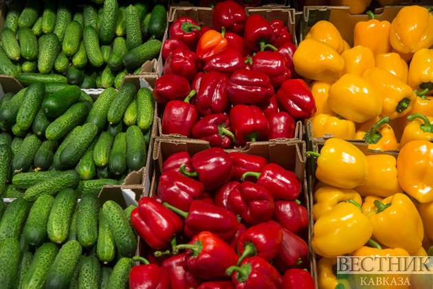 На Кавказе тщательно проверяют все импортные овощи и фрукты