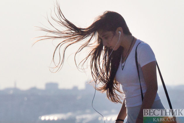 На Кубани ветер разгонится до 25 м/с